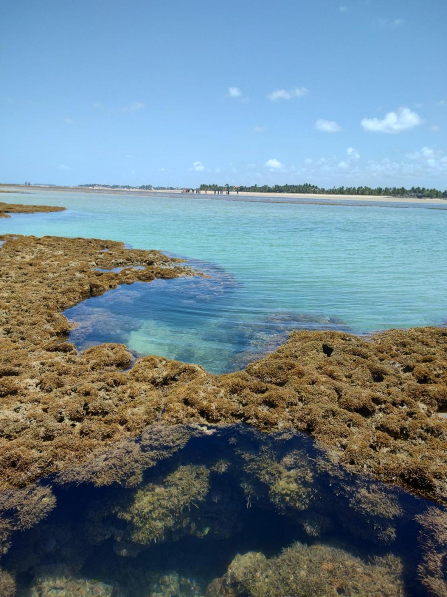 Res Mario Melo Porto De Galinhas Lägenhet Exteriör bild